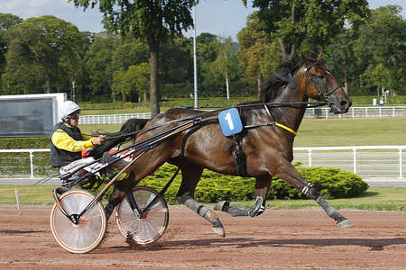 Actualités Hippiques